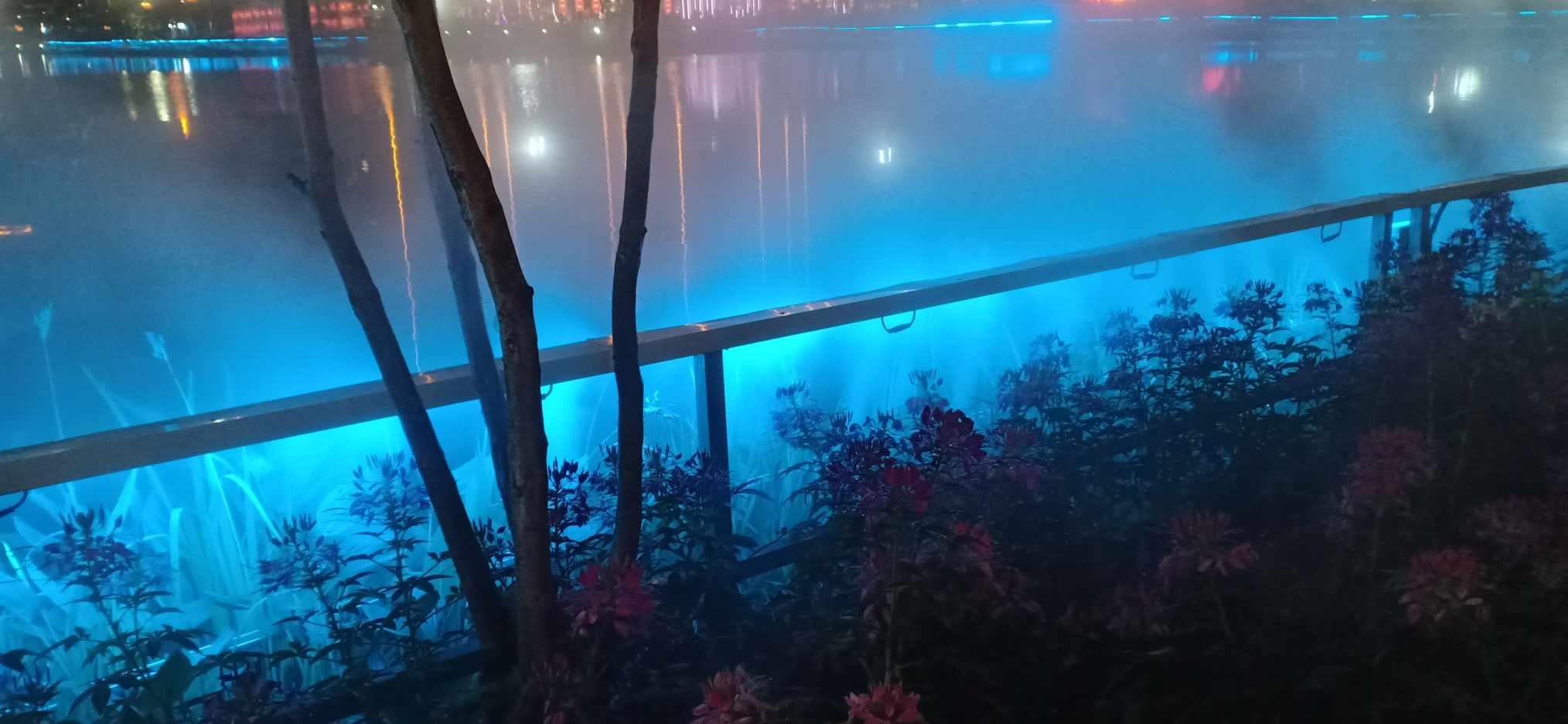 创新照明方案：利用DLT8SA04A芯片开发的24V幻彩RGB动态软灯带